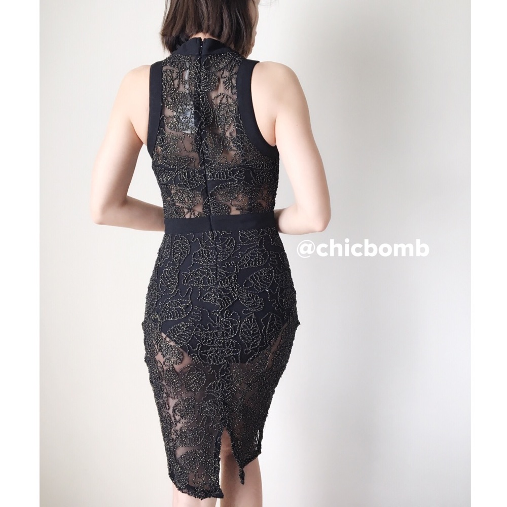 NEW Well Made Aria rebel sheer dress.1hour sale - Picture 4 of 7