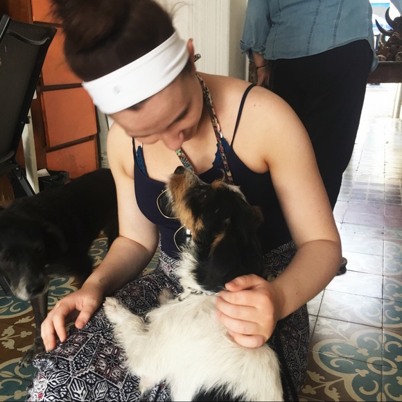 Meet your Posher, Rosa - Picture 4 of 4