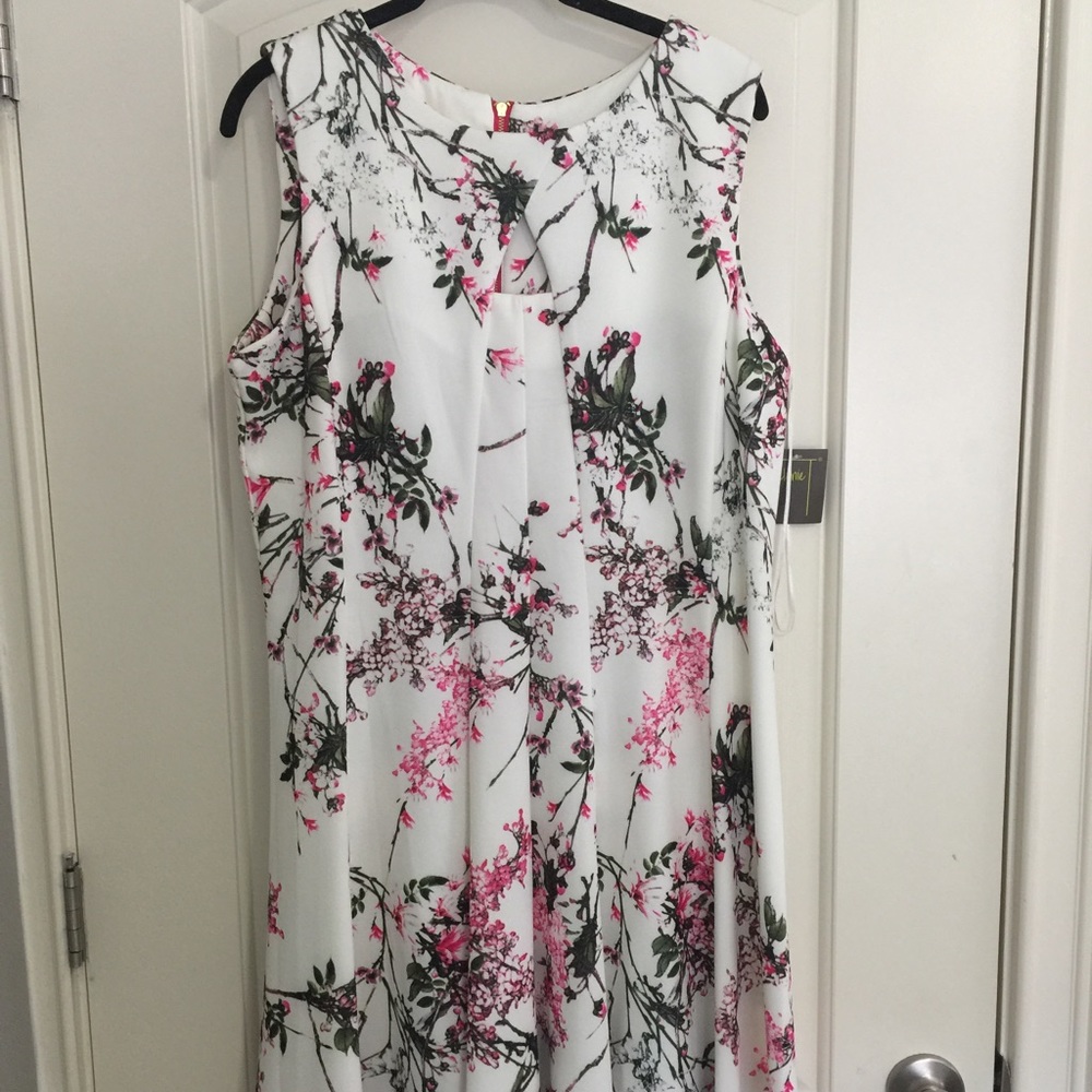 NWT Cherry Blossom Dress