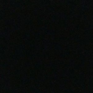 Meet your Posher, Billy