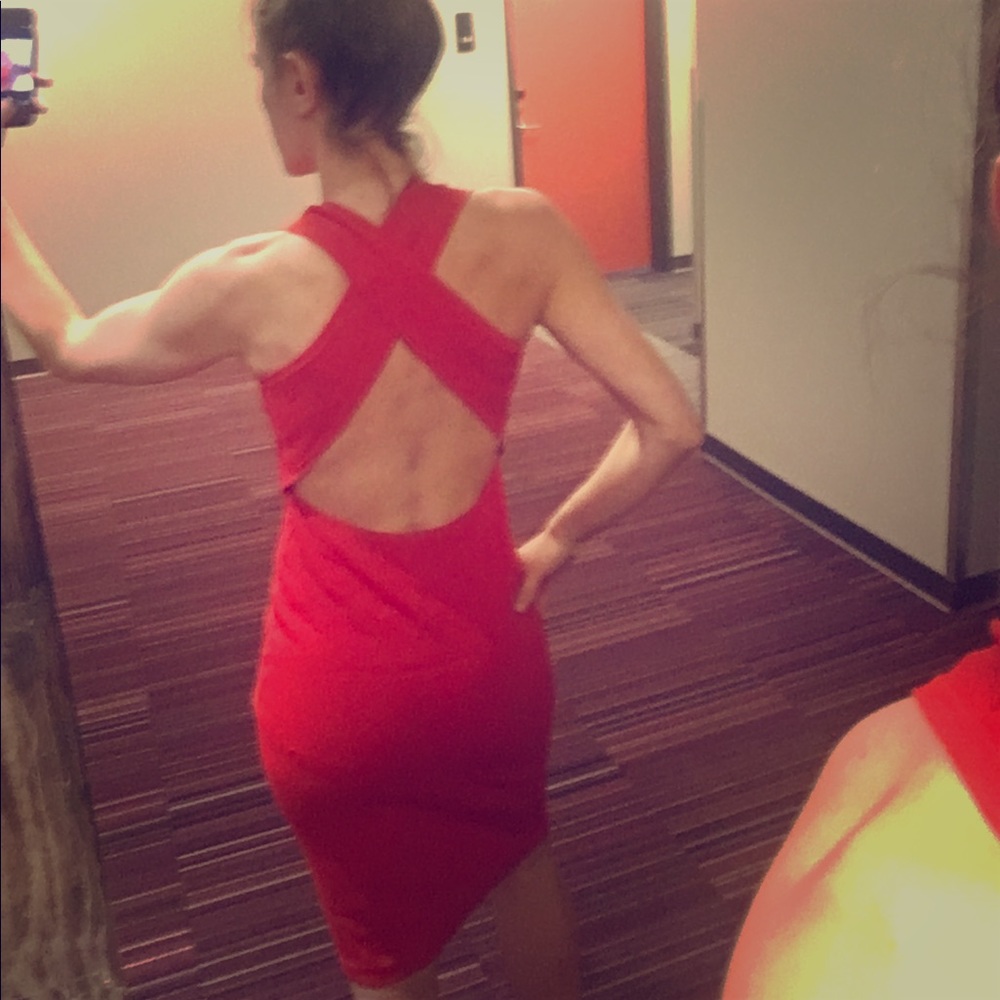 Theory Scarlet Dress