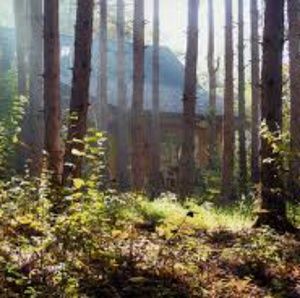 Meet your Posher, Kaylee