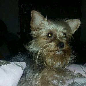 Meet your Posher, Jean