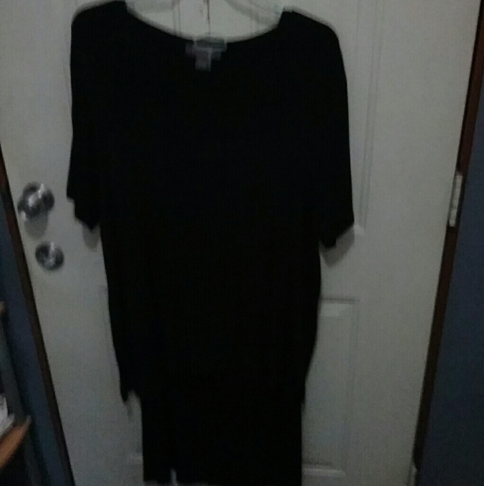 Designs by Lane Bryant Size 18/20 skirt& top set