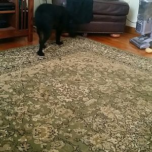 Meet your Posher, Adrienne