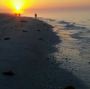 Meet your Posher, Sophie