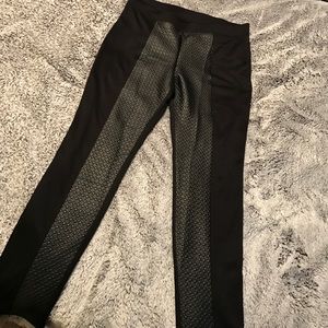 Hue Leggings