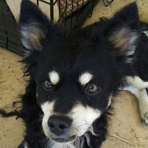 Meet your Posher, Nadia