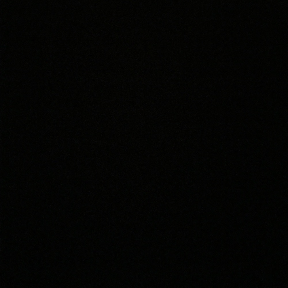 Meet your Posher, Rainey