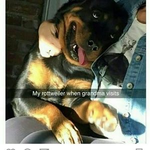 Meet your Posher, Bryant