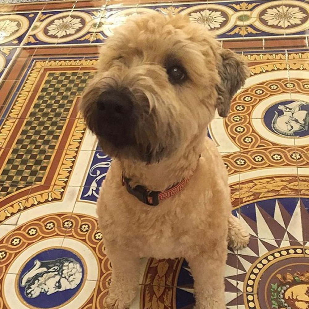 Meet your Posher, Kate