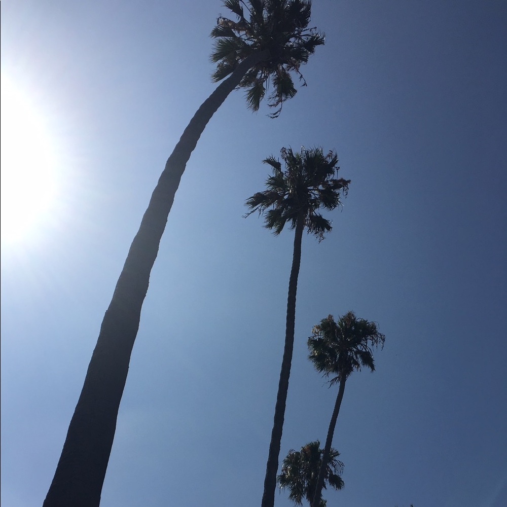 Meet your Posher, Mango