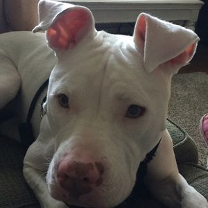 Meet your Posher, Judy