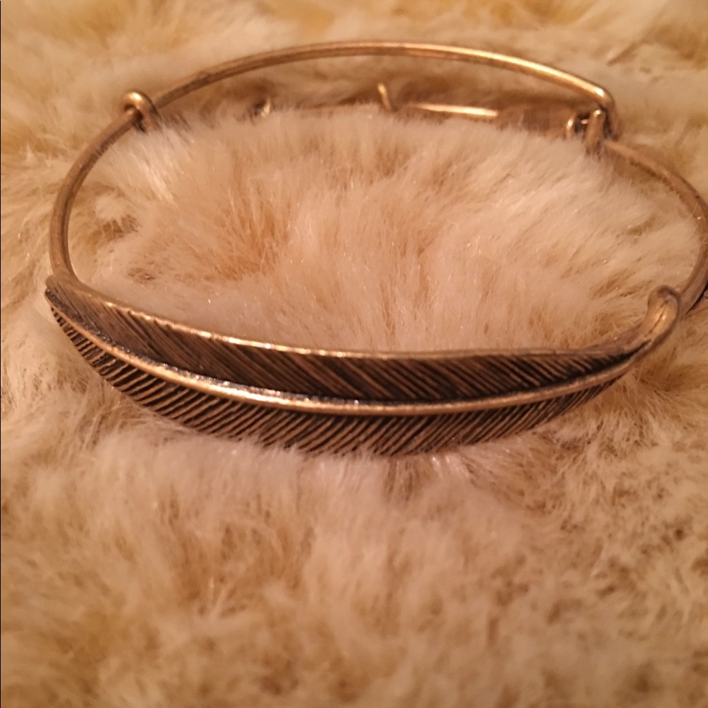 Alex and Ani Bangle