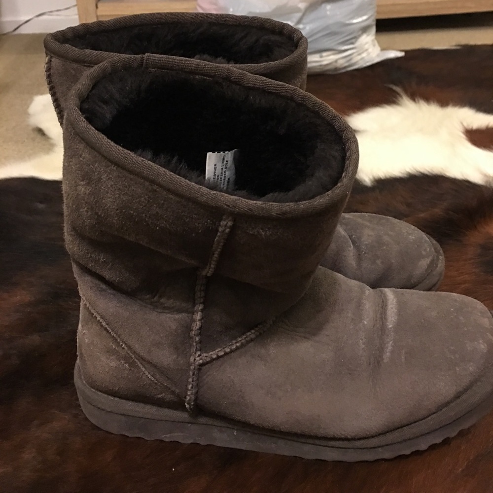 Brown Ugg Boot Short - image 1