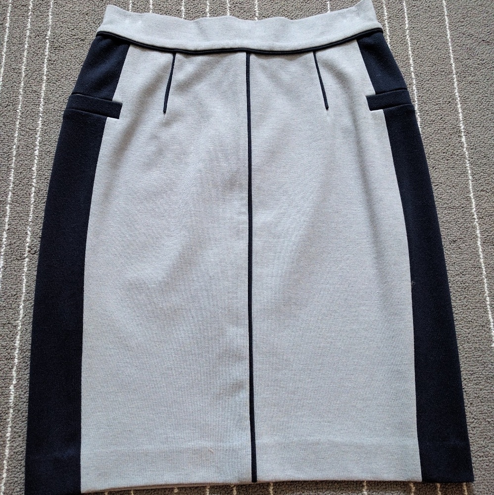 Club Monaco skirt