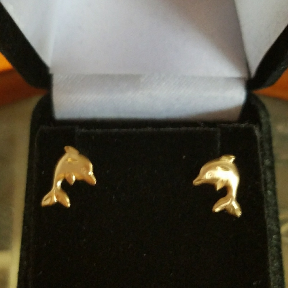 Diamond cut dolphin earrings