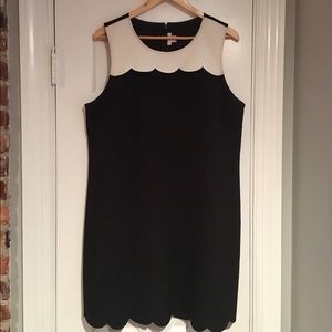 Two-toned Scalloped Shift Dress