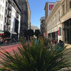 Meet your Posher, Steven