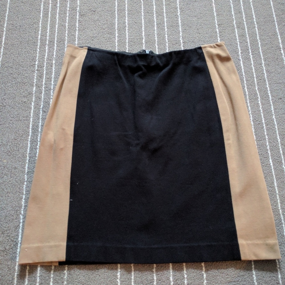Ann Taylor skirt 6