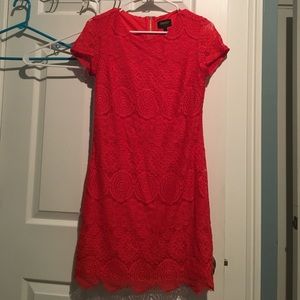 Laundry by Shelli Segal - red lace dress - size 0
