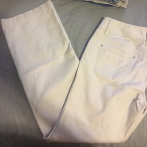 Ann Taylor dress pants