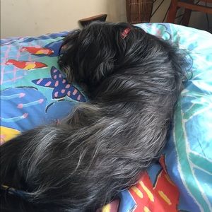 Meet your Posher, Shawne