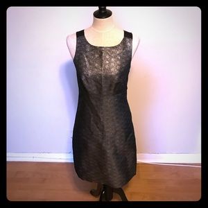 Michael Kors Sliver Party Dress!