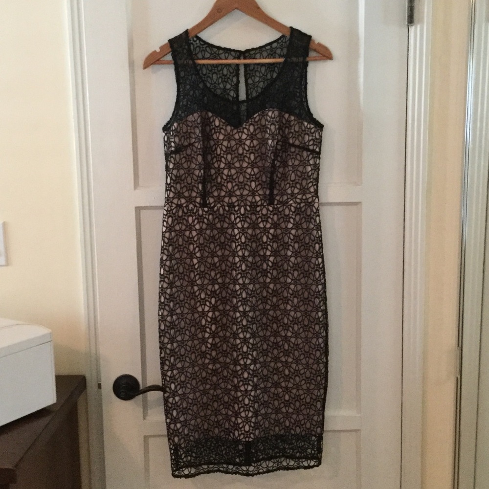 Ann Taylor Lace & silk dress