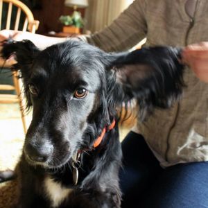 Meet your Posher, Kathryn