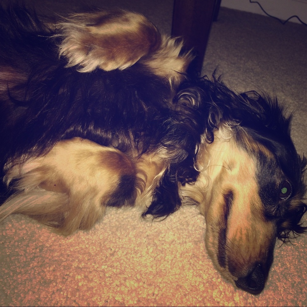 What should I sell?! Questions? Ideas?