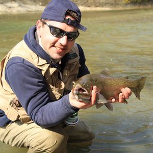 Meet your Posher, Mentos