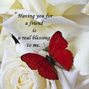 Meet your Posher, Robin