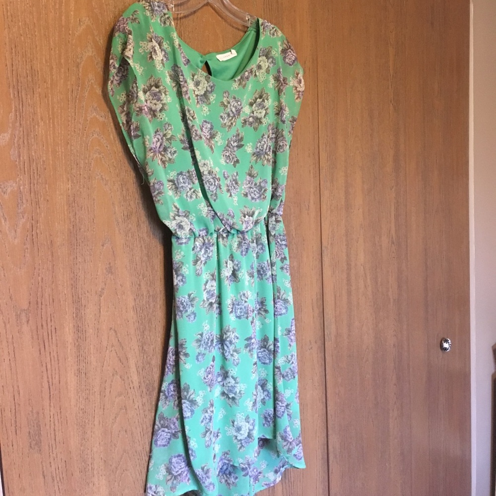 Two identical dresses with different patterns!