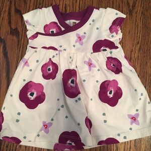 Tea Collection dress