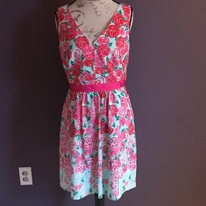 Vineyard Vines Derby Dress