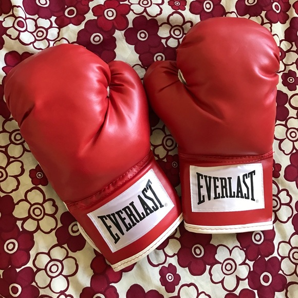 Everlast Other - LAST CALL Everlasting Pro Training Boxing Gloves