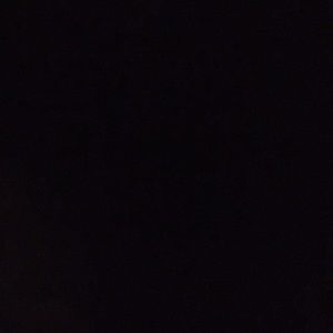 Meet your Posher, Charles