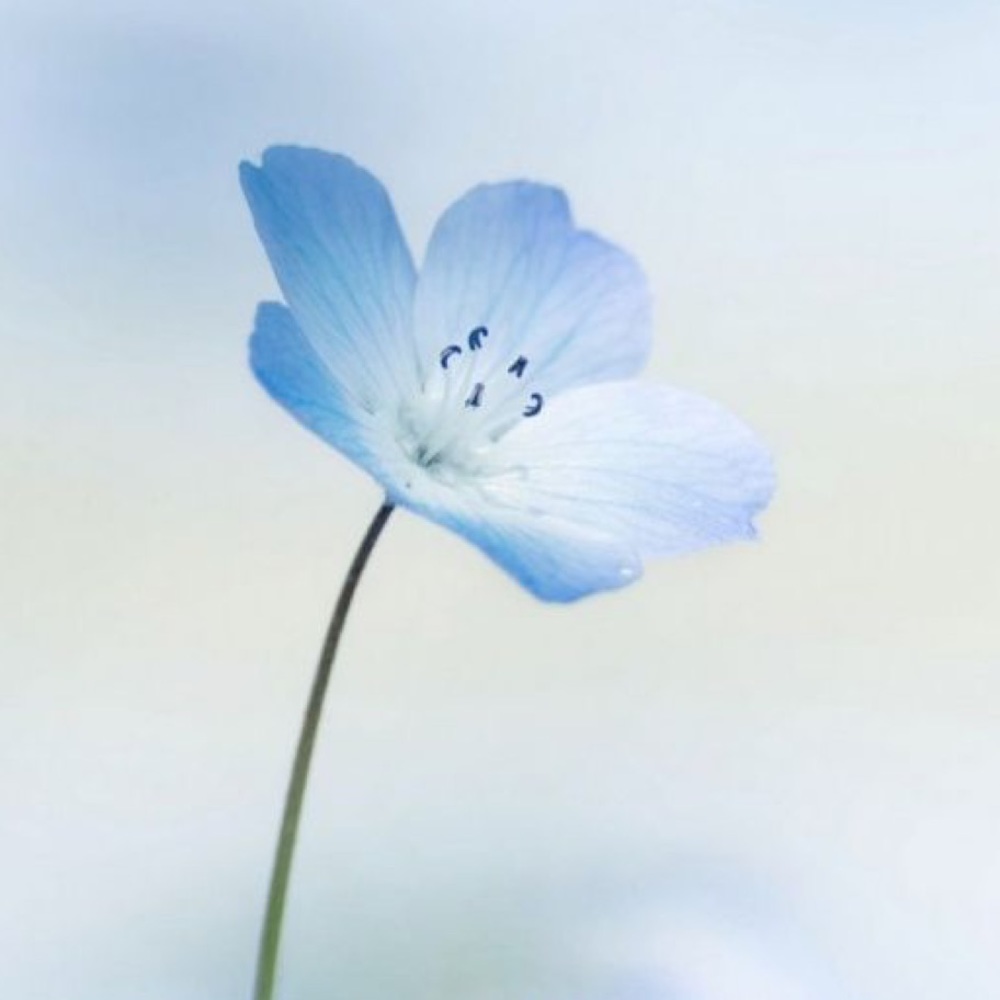 Meet your Posher, Ana