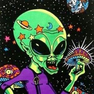 Meet your Posher, Vero