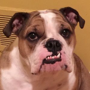 Meet your Posher, Yulianna