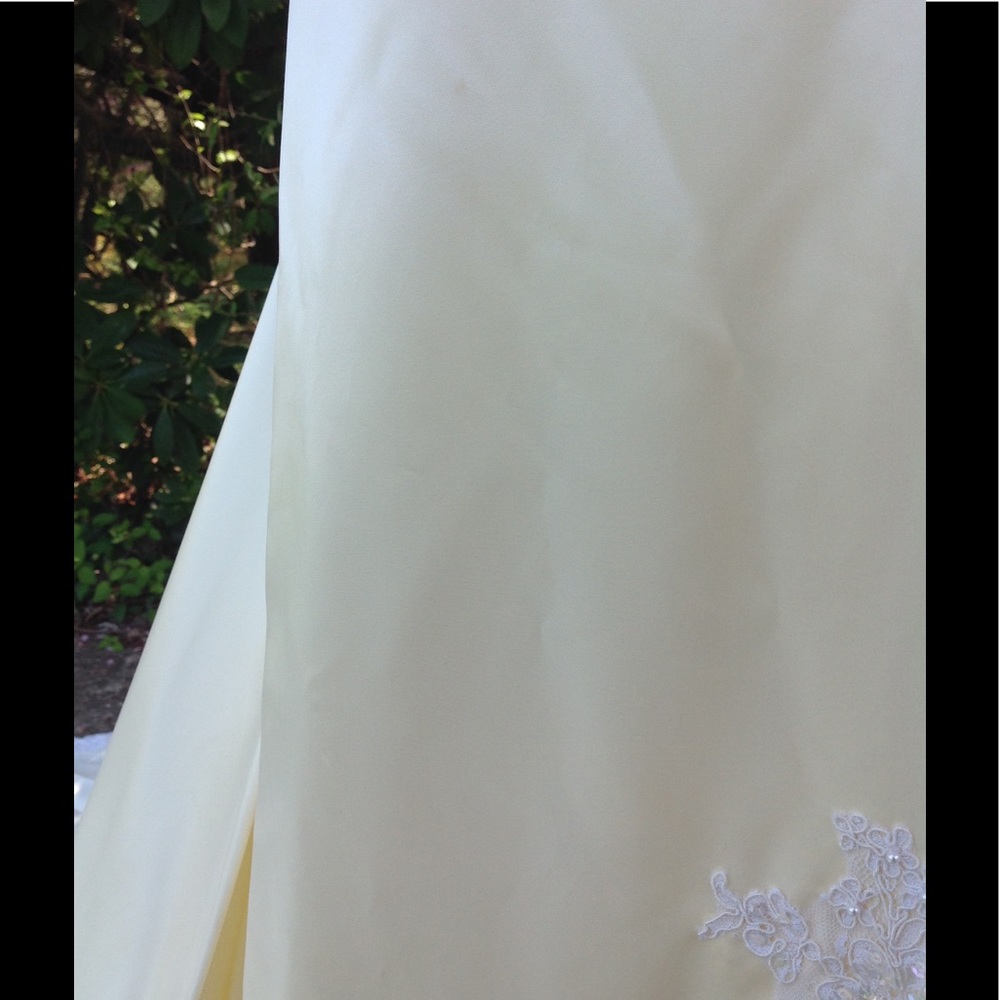 Vintage Wedding Dress - Picture 8 of 9