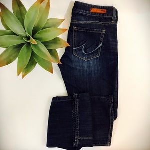 Express Stella Low rise Jeans