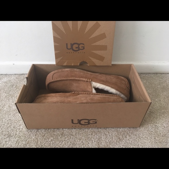 UGG Australia- M Ascot main image 3