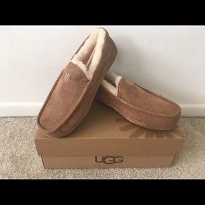 UGG Australia- M Ascot