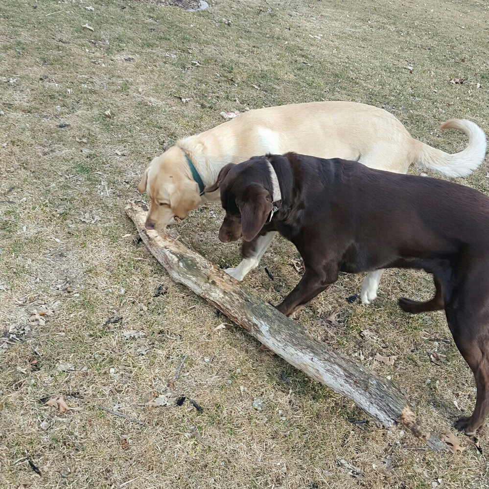 Meet your Posher, Marybeth