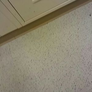 Meet your Posher, Shawn