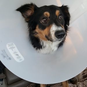 Meet your Posher, Wendy