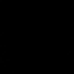 Meet your Posher, Jana