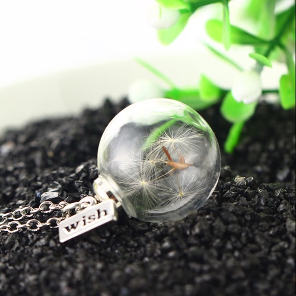⚡️⚡️ᴄᴏᴍɪɴɢ sᴏᴏɴ⚡️⚡️ Dandelion Wish Glass Globe - Picture 5 of 8